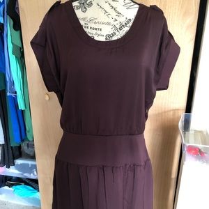 Gap NWT plum dropped waist dress